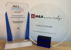 David Fawcus - 2015 M&A Awards